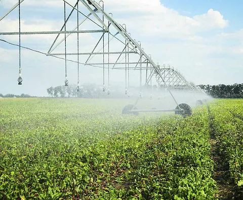 Agricultura y ganadería